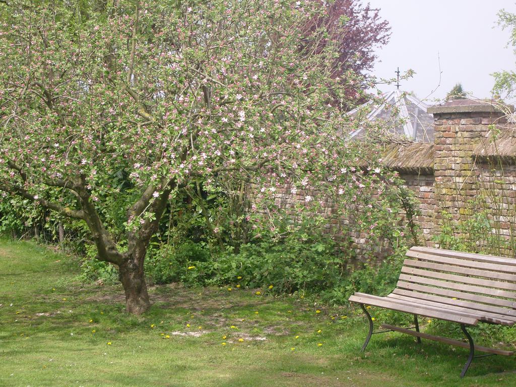 Bed & Breakfast Appeltern Kültér fotó