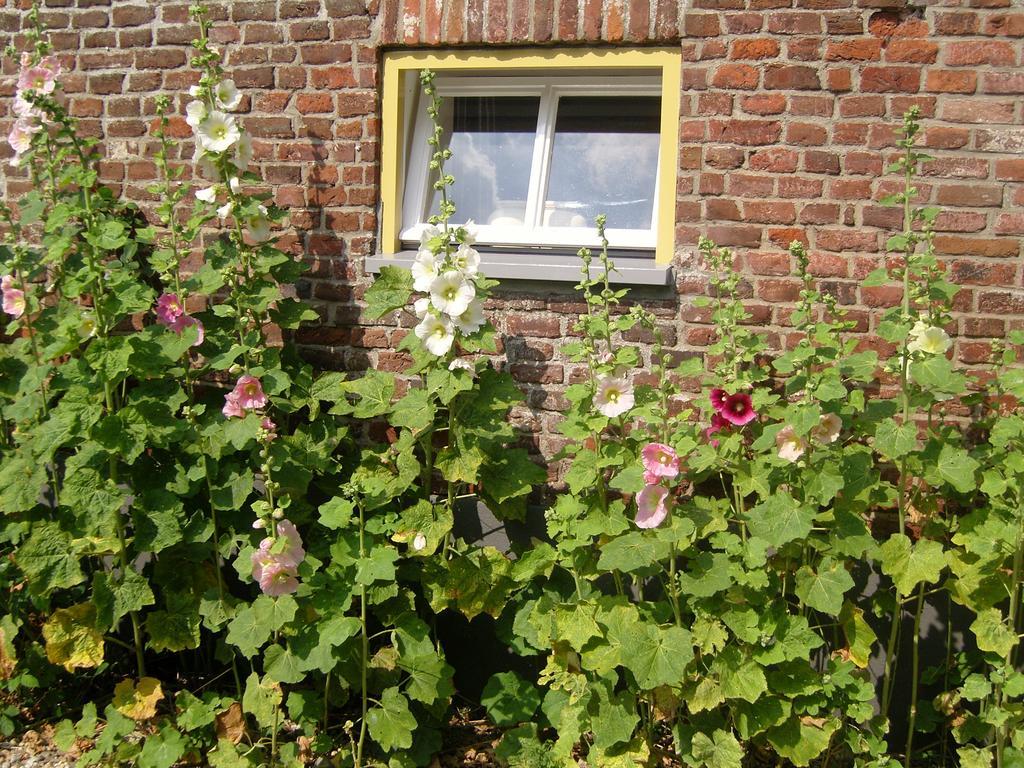 Bed & Breakfast Appeltern Kültér fotó